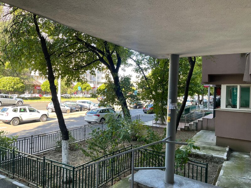 Militari, Iuliu Maniu