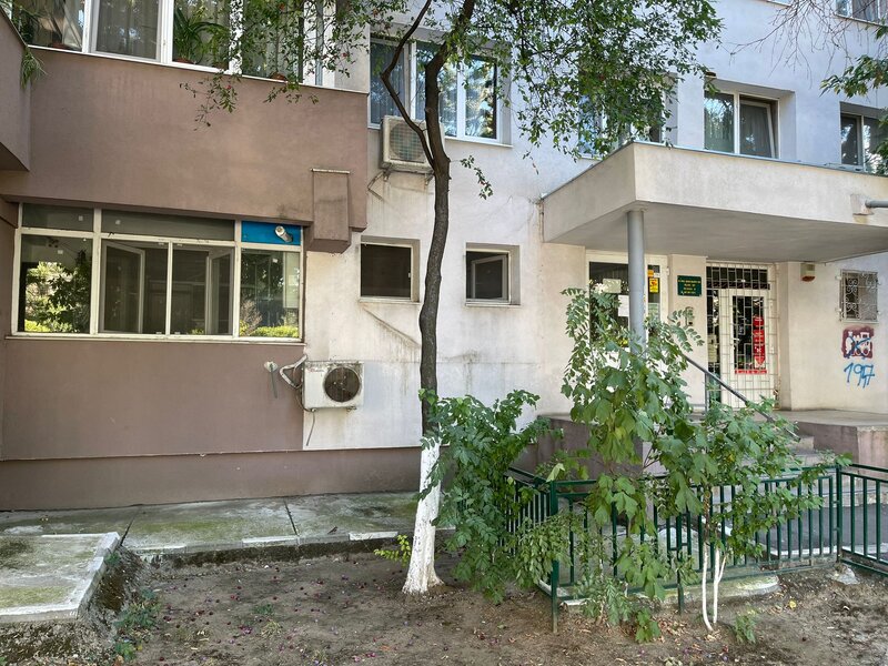 Militari, Iuliu Maniu